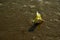 Frangipani flower on the sandy beach with rocks and shells