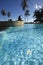 Frangipani flower in a swimming pool .