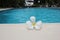 Frangipani flower tropical poolside background for spa resort travel with copy space stock photo photograph image picture