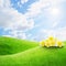 Frangipani on Grass fields and sun sky