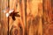 Frangipani Pink Flower and Wooden Table