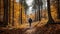 Frank\\\'s Journey: Exploring The Enchanting Autumn Forest