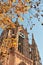 Frankfurt Dome Cathedral in autumn season