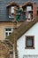 FRANKFURT, HESSEN, GERMANY-JANUARY 31, 2018: A gardener is cutting down a spruce tree