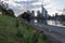 Frankfurt Skyline and Mainufer in the spring with daffodil flowers in the foreground and view to financial center and river main