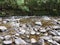 Franklin-Gordon Wild Rivers National Park, Tasmania