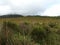 Franklin-Gordon Wild Rivers National Park, Tasmania