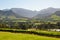 Franschhoek winelands Cape south africa.