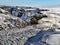 Franz Josef Glacier and surrounding mountains