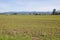 Fraser Valley Vegetable Crop