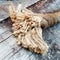 Frayed end of sisal rope lying on weathered wood