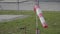 Frayed windsock in moderate wind against blue sky