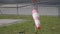 Frayed windsock in moderate wind against blue sky