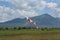 Frayed windsock in moderate wind on the background of mountains