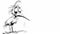 Frazzled Stork Ink Cartoon