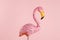 Freak pink plastic flamingo