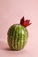 Freak watermelon wearing a crown