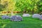 Freakish stones in a park near of the complex Temple of Heaven i