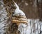 Freakish views of a birch tree trunk from a snow-covered winter forest in Russia