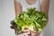 Freash green lettuce salad leaves isolated, woman hand hold green leaves, close up on white background, healthy food