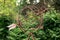 Frederik Meijer Gardens - Grand Rapids, MI, USA - September 15th 2019:  Close up of an arrow flying through a globe statue