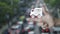 Free delivery truck flat icon on finger over blur of rush hour with cars and road in city, Business transportation concept