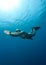 Free diver