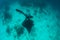 Free Diver and Manta Ray in Tropical Pacific