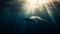 Free diving adventure Majestic humpback whale in tropical seascape generated by AI