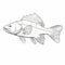 Free Fish Coloring Pages: Sketches, Illustrations, And Vector Art