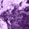 Free flowing purple and white acrylic paint. Random Waves and Curls. Abstract marble background or texture