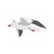 Free hovering in sky flying sea gull a vector isolated illustration