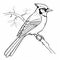 Free Printable Blue Jay Coloring Sheet For Kids