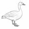 Free Printable Geese Coloring Page For Kids