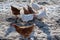 Free range brown and white hens of sustainable farm on snowy ground.