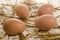 Free range eggs with straw on an old wooden table