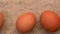 Free-range large brown chicken eggs