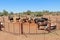 Free-range nguni cattle at a watering point