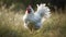 Free range rooster grazes on green meadow generated by AI