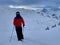 Free ride skier in untouched winter landscape in the Austrian Alps. Montafon, Vorarlberg, Austria.