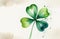 free shamrock pictures