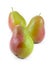 Free Standing Corella Pears