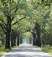 Free straight country road in summer