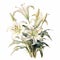 Free White Lily Images: Download Beautiful Lily Bouquet Paintings