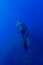 Freediver