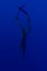 Freediver