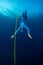 Freediver