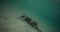 Freediver girl lying underwater bottom, filmed on cinema camera, 12 bit colour