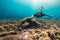 Freediver man with cute turtle