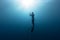 Freediver in the sea